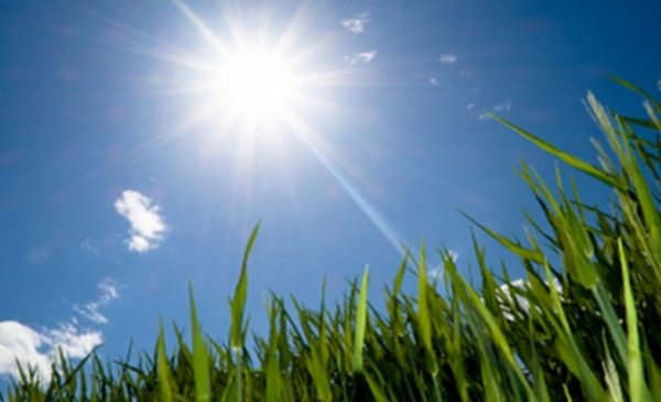 Stiže topliji talas: Pred kraj februara sunce i proljetne temperature